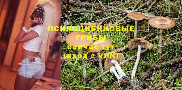 метамфетамин Богданович