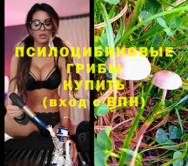 экстази Богородицк
